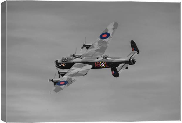 Leader with a hint of colour Canvas Print by Stephen Ward