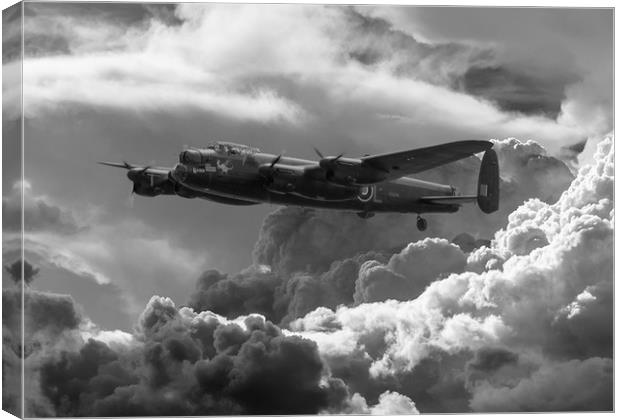 King of the sky Canvas Print by Stephen Ward