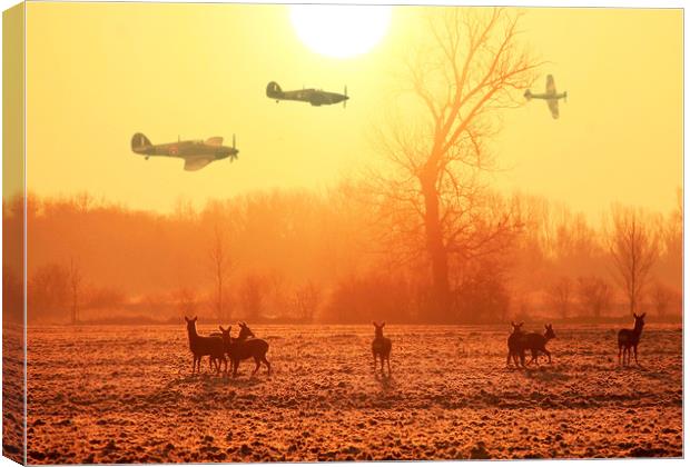 Buzzing the Deer Canvas Print by Stephen Ward