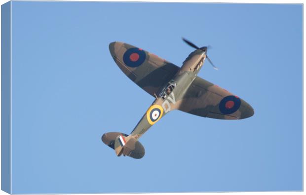 Reach for the Sky Canvas Print by Stephen Ward