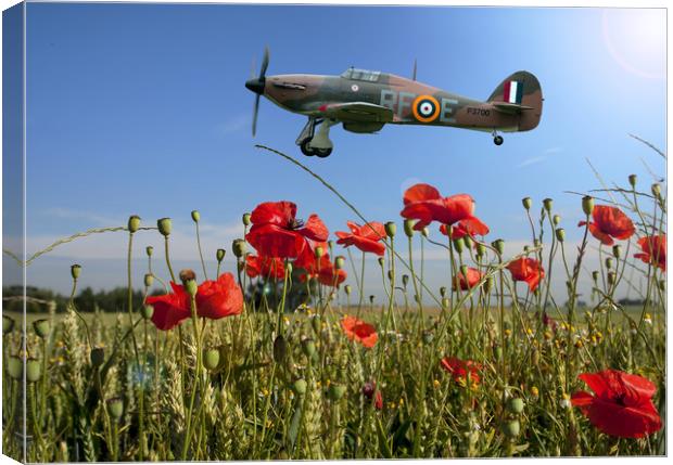 Lest we Forget Canvas Print by Stephen Ward