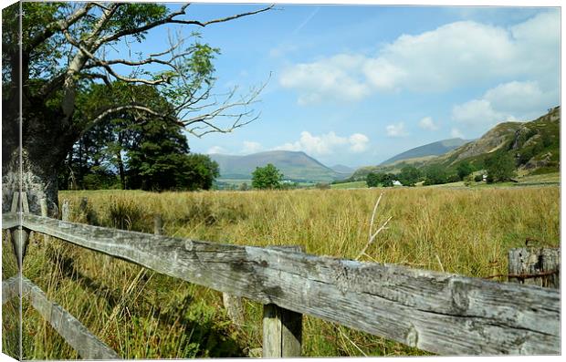  field of dreams lake district Canvas Print by pristine_ images