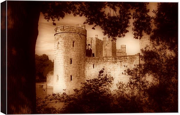  A view of Bodiam Castle through the trees Canvas Print by pristine_ images