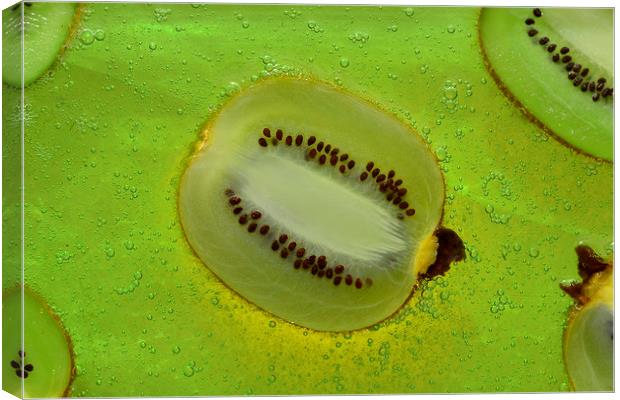 Kiwifruit Canvas Print by pristine_ images