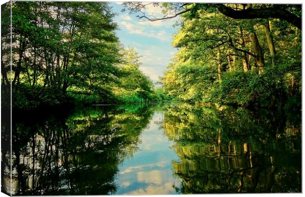  Norfolk Tranquility Canvas Print by Broadland Photography