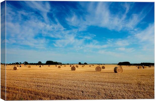  Harvest in Norfolk Canvas Print by Broadland Photography