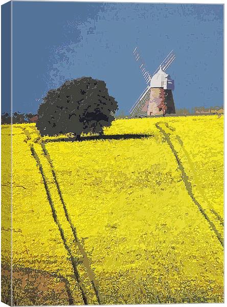  Halnaker windmill, Sussex Canvas Print by Michael Chandler