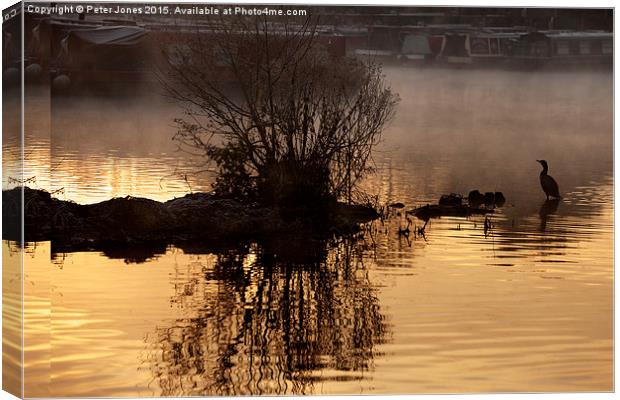 Cormorant silhouette early morning canal boatyard  Canvas Print by Peter Jones