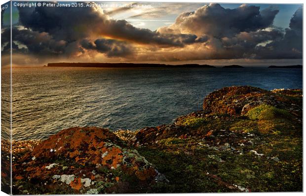  View of Skomer Island. Canvas Print by Peter Jones