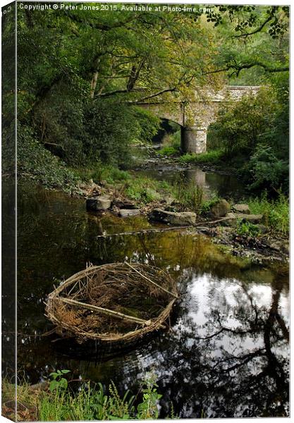  Abandoned Coracle Canvas Print by Peter Jones