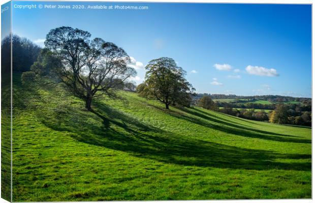 Chilterns view Canvas Print by Peter Jones