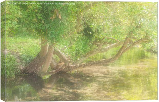 River Wye, High Wycombe, Bucks. one Summer Canvas Print by Peter Jones