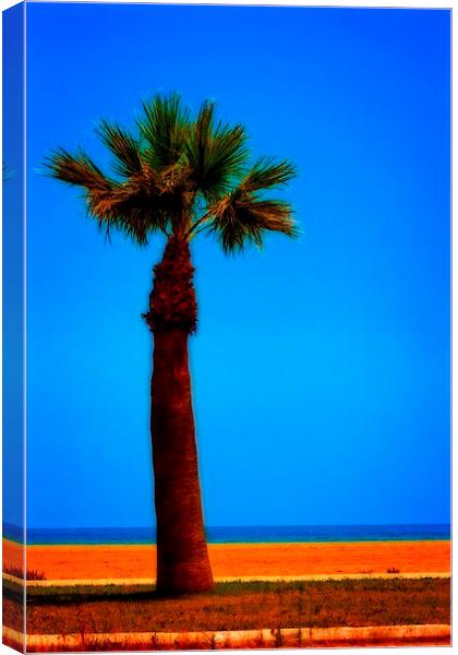 A digitally converted painting of a lone palm tree Canvas Print by ken biggs