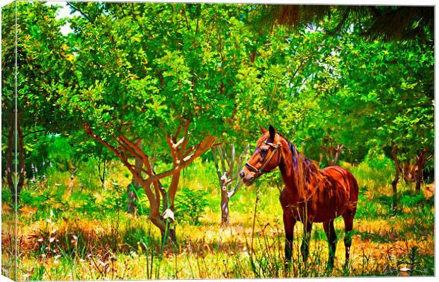 Digital painting of a chestnut horse out grazing i Canvas Print by ken biggs