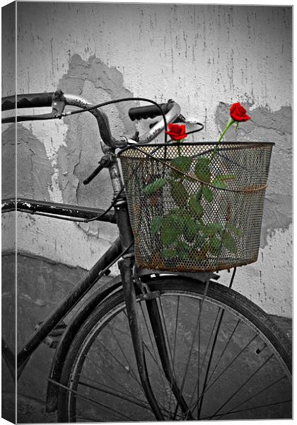 Red roses in basket of old rusty bicycle Canvas Print by ken biggs
