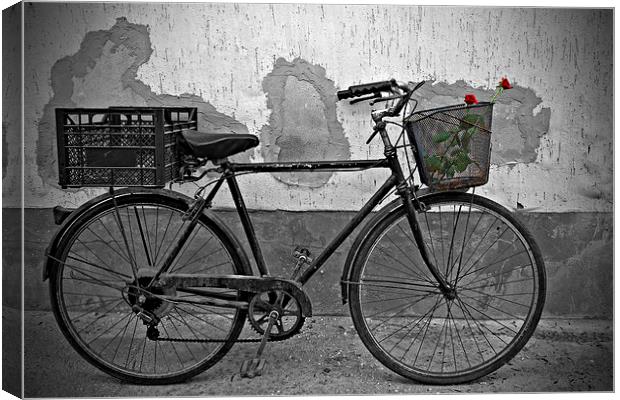 Red roses in basket of old rusty bicycle Canvas Print by ken biggs