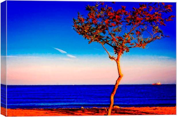 Lone tree overlooking the sea Canvas Print by ken biggs