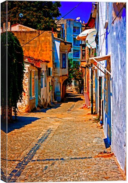 Turkish village street scene Canvas Print by ken biggs