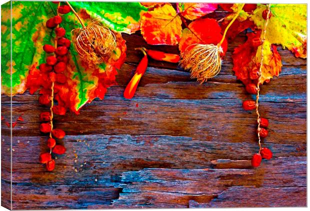 Colorful autumn leaves  Canvas Print by ken biggs
