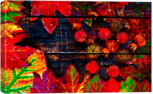  Colorful autumn leaves  Canvas Print by ken biggs