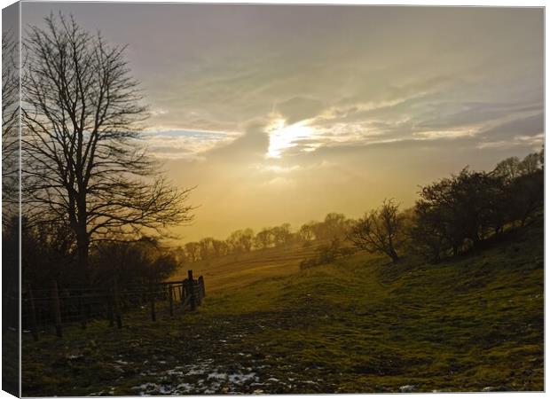 A sunset scene in Wensleydale  Canvas Print by sarah chilton