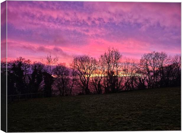 Winter Sunset in Wensleydale  Canvas Print by sarah chilton