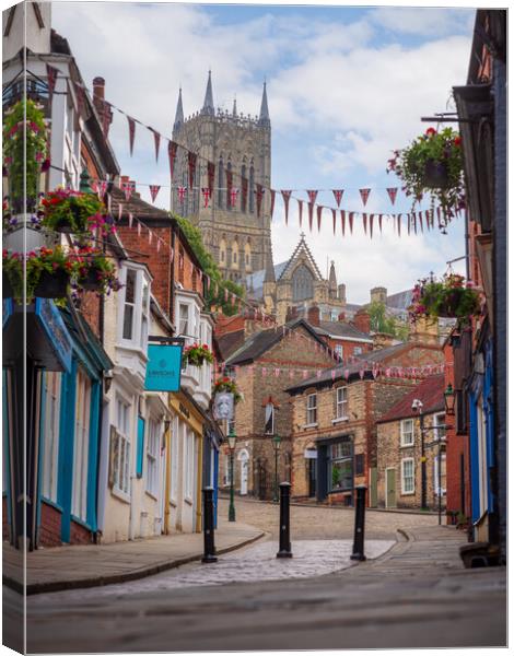 Lincoln Cathedral from The Strait Canvas Print by Andrew Scott