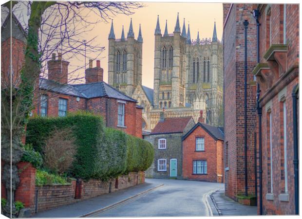 Lincoln Cathedral  Canvas Print by Andrew Scott