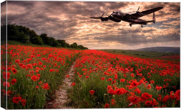  Lancaster bomber Vera, flying over poppy fields Canvas Print by Andrew Scott