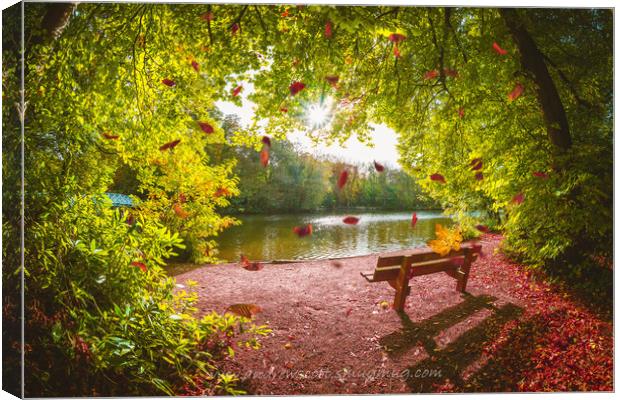 Autumn leaves falling at Hartsholme Park, Lincoln Canvas Print by Andrew Scott