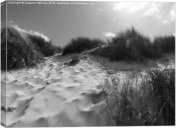  Northumberland Coastline Bamburgh Canvas Print by Suzanne Whaley