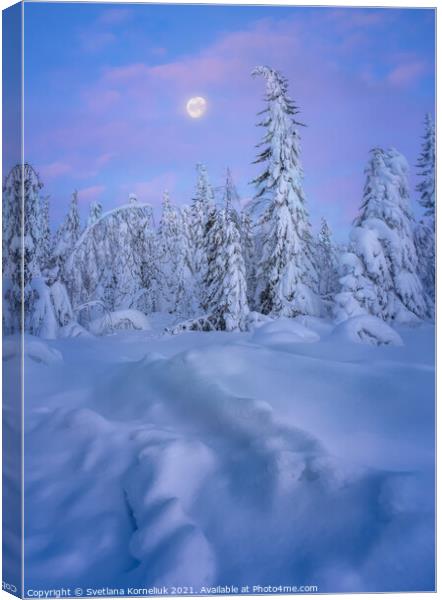 Snowy winter forest at sunset Canvas Print by Svetlana Korneliuk