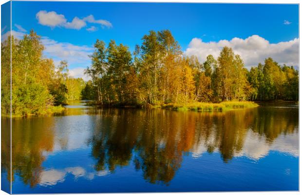 Indian summer Canvas Print by Svetlana Korneliuk