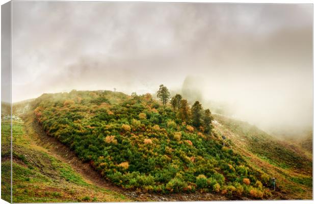 Autumn valley in the cloud Canvas Print by Svetlana Korneliuk