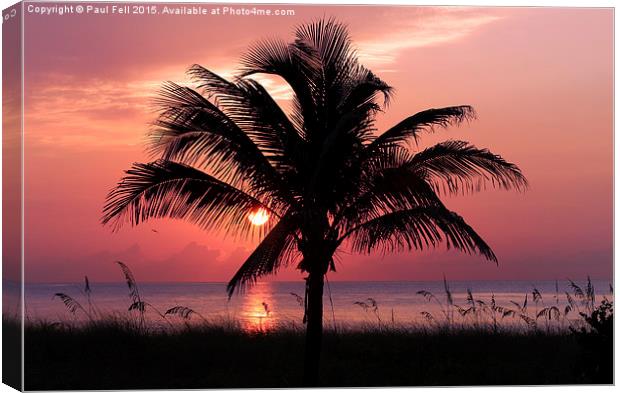 Florida Sunrise Canvas Print by Paul Fell