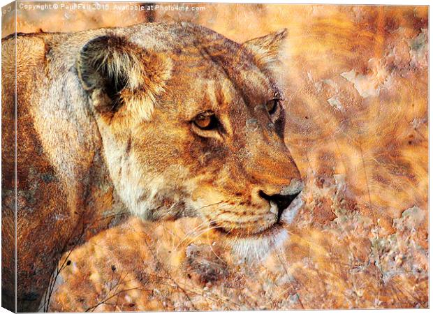 Rusty Lioness Canvas Print by Paul Fell