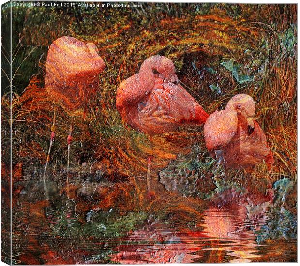 Flamingo Rust Canvas Print by Paul Fell