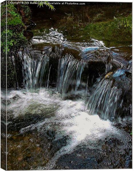  The Japanese water garden Canvas Print by Jon Barton