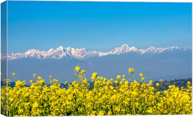 beautiful landscape Mountain view Canvas Print by Ambir Tolang