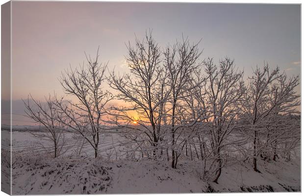  Sunrise with Snowing Canvas Print by Ambir Tolang