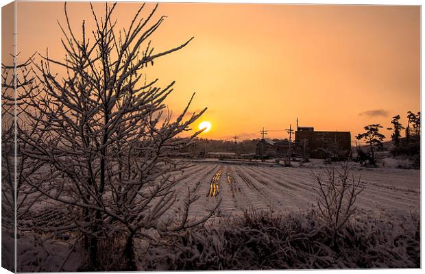 Sunrise with Snowing Canvas Print by Ambir Tolang