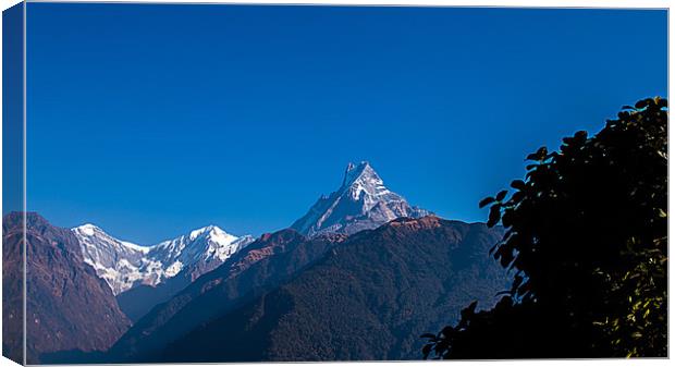 Mount Fishtail Canvas Print by Ambir Tolang