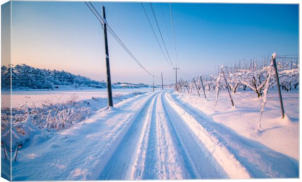 snow covered road Canvas Print by Ambir Tolang