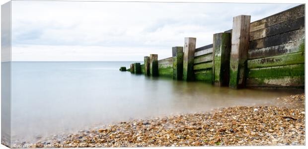 Milford Timber Groyne Canvas Print by Gary Turner