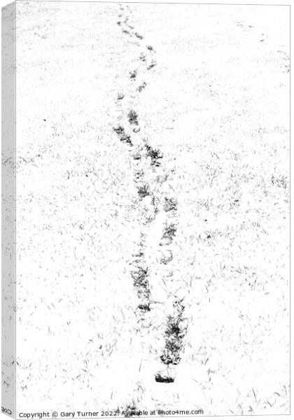 Footprints in snowy field Canvas Print by Gary Turner