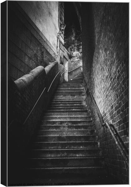 Dog Leap Stairs Canvas Print by Gary Turner