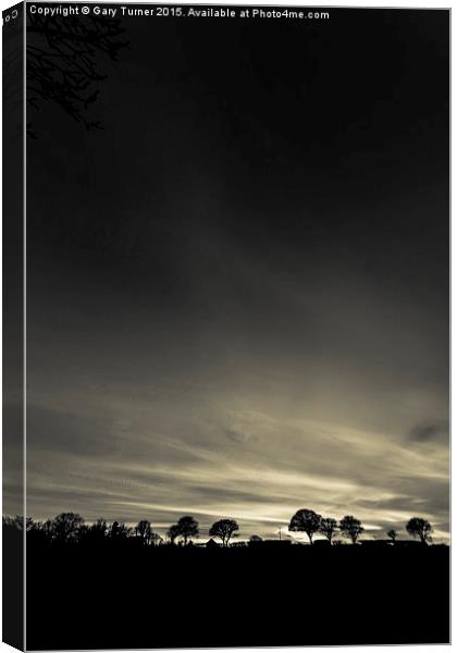 Silhouetted Trees Canvas Print by Gary Turner