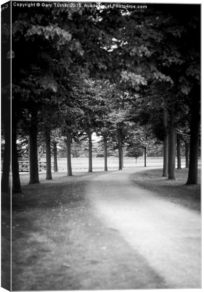  Avenue of Trees Canvas Print by Gary Turner