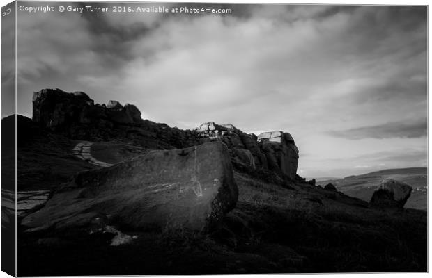 Cow and Calf, Ilkley Canvas Print by Gary Turner