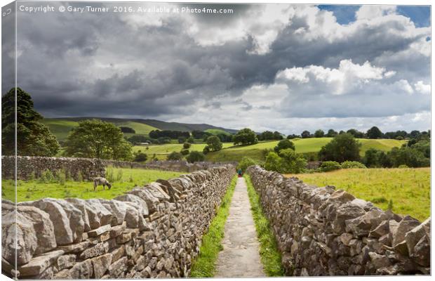 Through the dry stone walls Canvas Print by Gary Turner